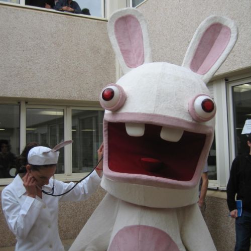 Lapin crétin tête